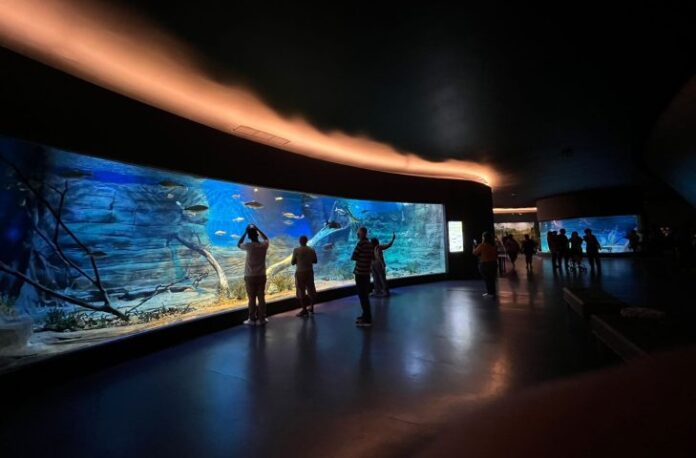 Bioparque Pantanal vai celebrar o feriado de Independência em horário Bioparque Pantanal vai celebrar o feriado de Independência em horário especial