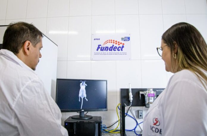 Editais da Fundect em Mato Grosso do Sul incentivam pesquisas com mobilidade internacional
