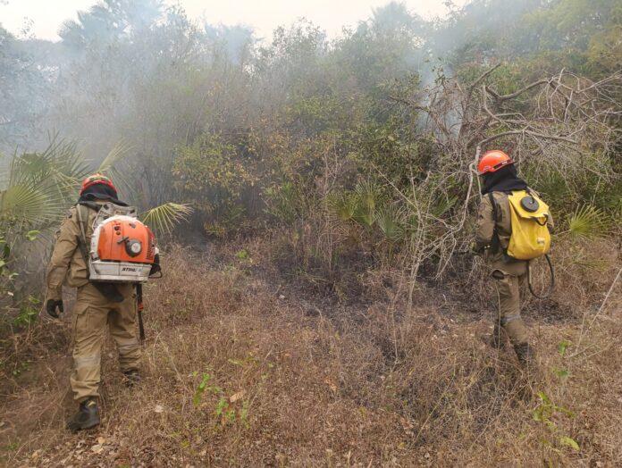Incêndios florestais se intensificam em biomas de MS, na fronteira Incêndios florestais se intensificam em biomas de MS, na fronteira com a Bolívia combate continua