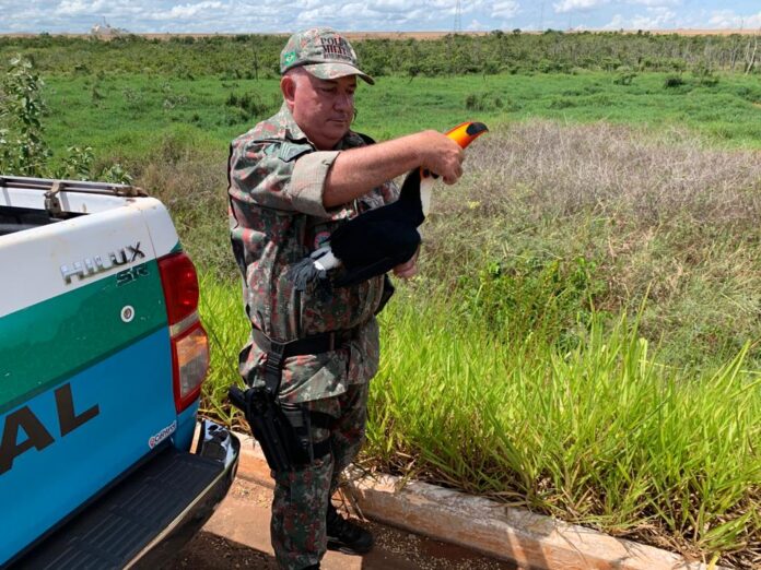 O que faço se encontrei um animal silvestre ferido? Imasul O que faço se encontrei um animal silvestre ferido? Imasul faz orientações e recomenda acionar a PMA