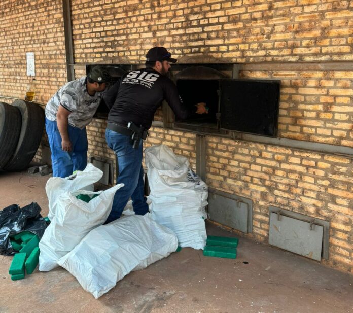 Polícia Civil incinera mais de meia tonelada de maconha em Polícia Civil incinera mais de meia tonelada de maconha em Juti