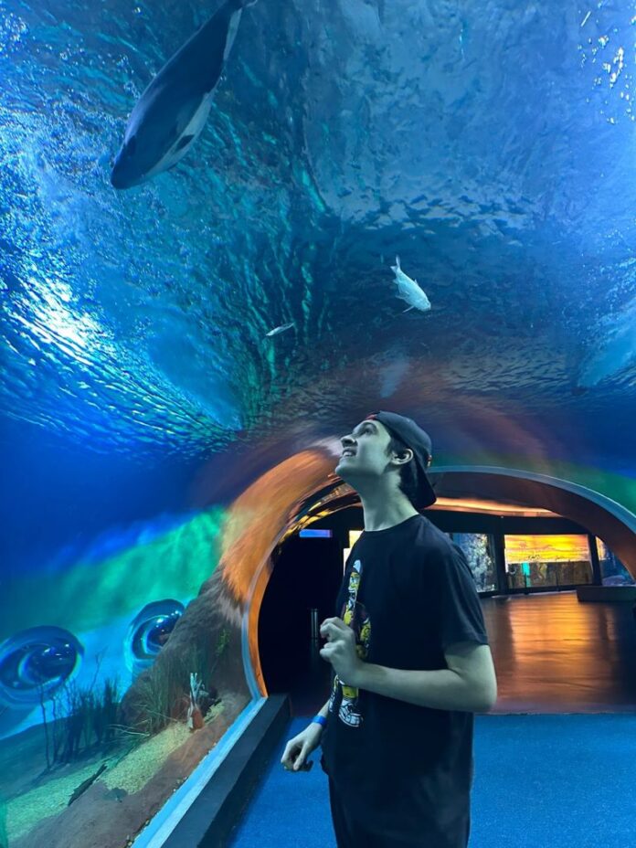 Bioparque Pantanal promove lazer e bem-estar emocional aos visitantes em Bioparque Pantanal promove lazer e bem-estar emocional aos visitantes em Mato Grosso do Sul