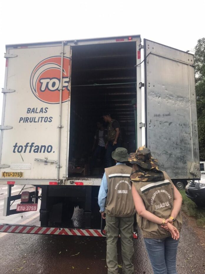 Operação Piracema 2024 terá mobilização de fiscais do Imasul e Operação Piracema 2024 terá mobilização de fiscais do Imasul e efetivo da PMA