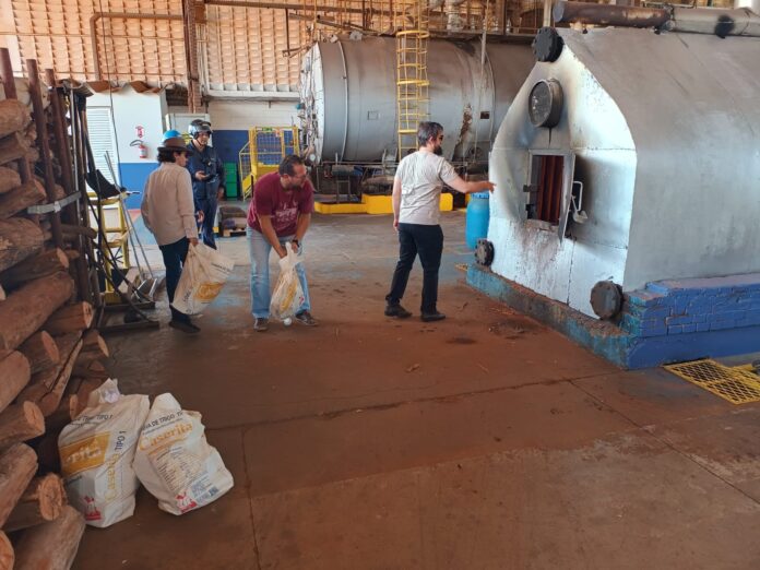 Polícia Civil incinera 100 kg de drogas em Brasilândia Polícia Civil incinera 100 kg de drogas em Brasilândia