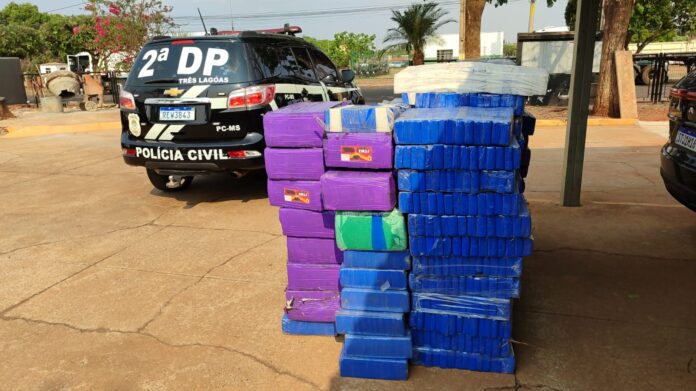 Polícia Civil incinera cerca de duas toneladas de drogas em Polícia Civil incinera cerca de duas toneladas de drogas em Três Lagoas