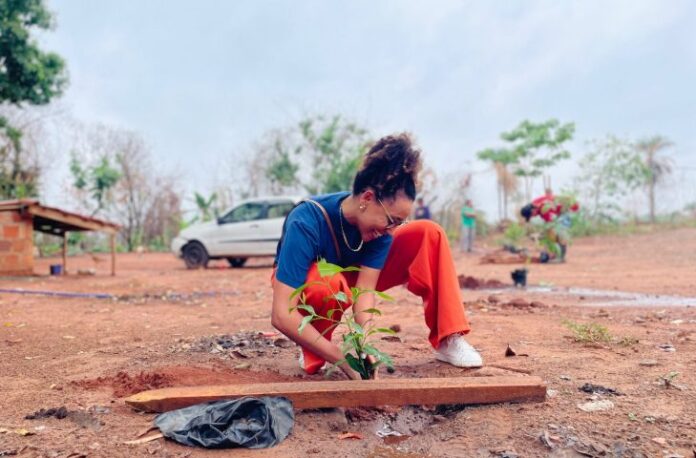 Ação Cidadania ECOmunitária faz plantio de mudas e leva orientação Ação Cidadania ECOmunitária faz plantio de mudas e leva orientação jurídica gratuita ao Itamaracá