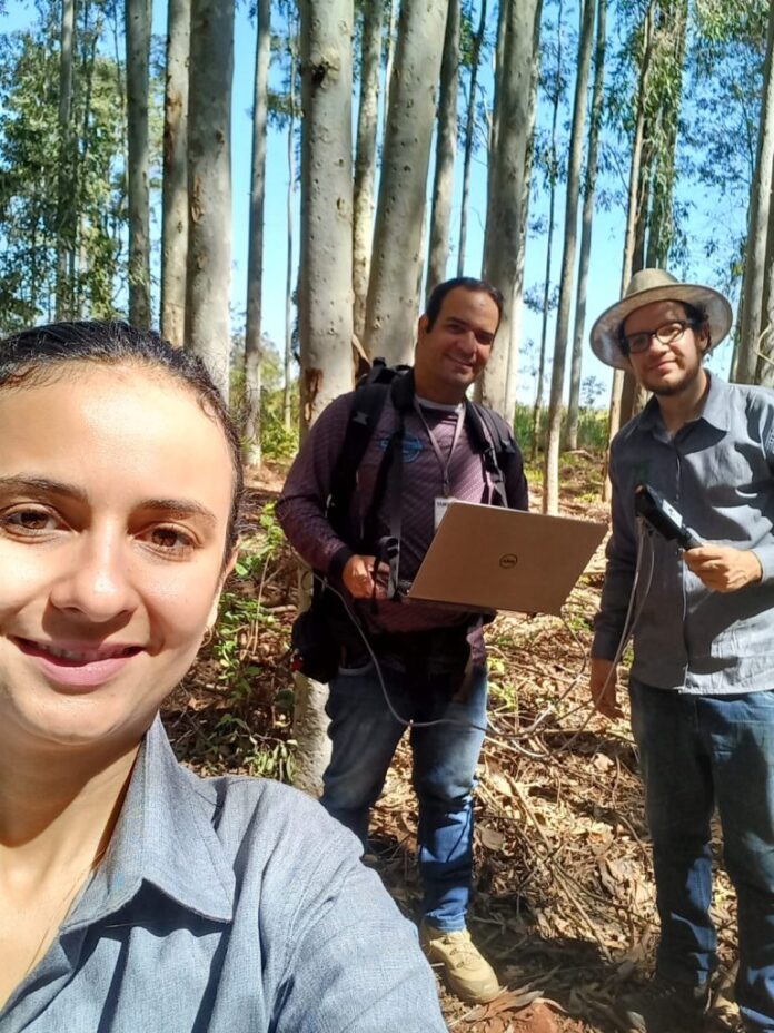 Sustentabilidade: florestas plantadas em MS contribuem para a meta de Sustentabilidade: florestas plantadas em MS contribuem para a meta de carbono neutro