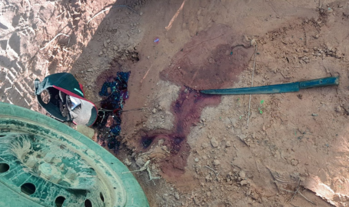 whatsapp-image-2024-11-11-at-16