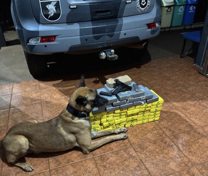 6ee7c163-c1c5-4320-9f6e-188bdb9fa838