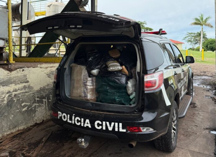 Polícia Civil, incinera 200 kg de drogas apreendidas em Dois Irmãos do Buriti