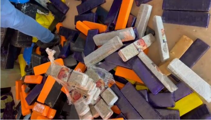 Polícia Civil incinera 933 quilos de maconha em Tacuru Polícia Civil incinera 933 quilos de maconha em Tacuru