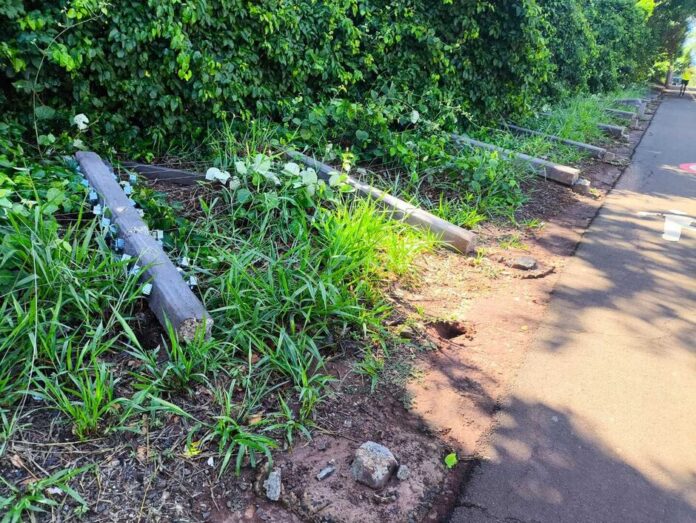 whatsapp-image-2024-12-23-at-82822-am