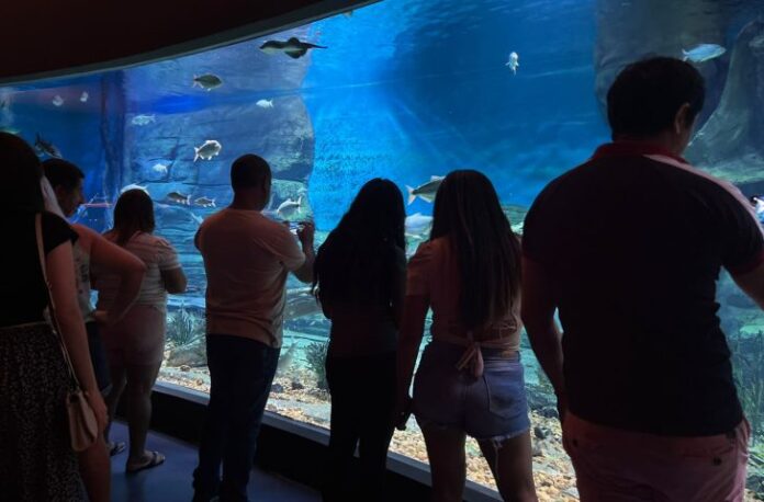 Bioparque Pantanal fecha para manutenção e reabre para visitação em Bioparque Pantanal fecha para manutenção e reabre para visitação em 7 de janeiro