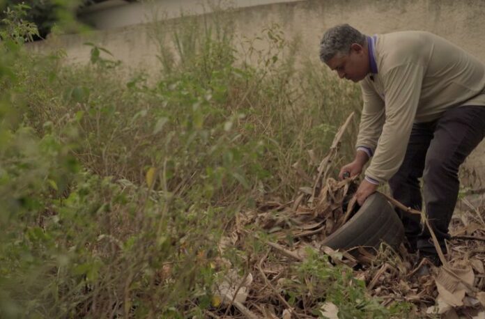 Boletim Epidemiológico: MS registra 204 casos confirmados de dengue Boletim Epidemiológico: MS registra 204 casos confirmados de dengue