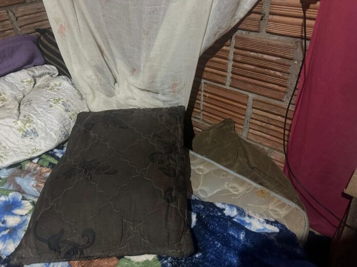 Polícia Civil prende em flagrante suspeita pelo crime de maus Polícia Civil prende em flagrante suspeita pelo crime de maus tratos com resultado morte