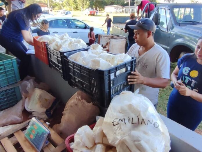 Programas de compras públicas aumentam a renda de agricultores familiares Programas de compras públicas aumentam a renda de agricultores familiares em até 106%, aponta Ipea