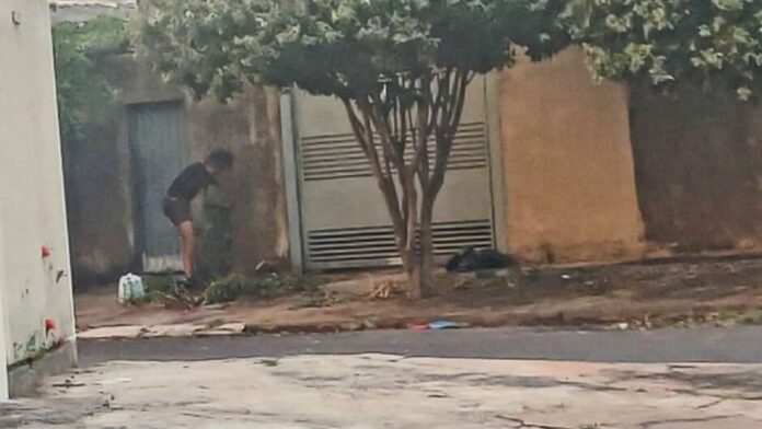 whatsapp-image-2025-01-15-at-085105