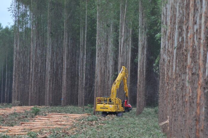 MS lidera projeções como o estado brasileiro com maior previsão MS lidera projeções como o estado brasileiro com maior previsão de crescimento do PIB em 2025