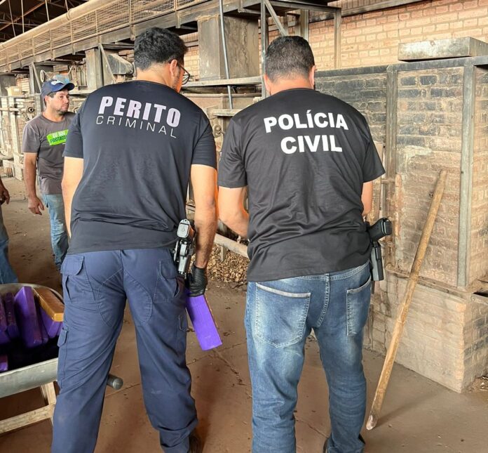 Polícia Civil incinera mais de 550kg de entorpecentes em Rio Polícia Civil incinera mais de 550kg de entorpecentes em Rio Verde de Mato Grosso
