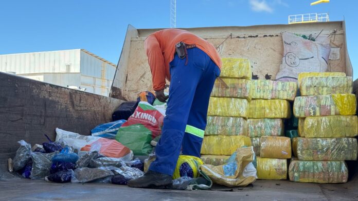 Polícia Civil realiza incineração de entorpecente em Iguatemi Polícia Civil realiza incineração de entorpecente em Iguatemi