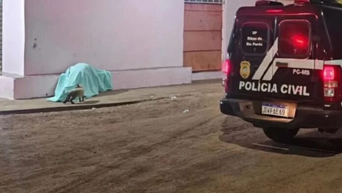 whatsapp-image-2025-02-11-at-73545-am