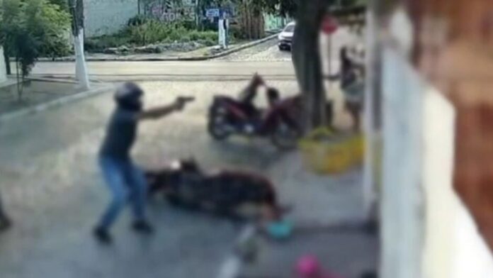 whatsapp-image-2025-03-04-at-141226