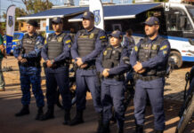 ARTIGO: A ATUAÇÃO DA GUARDA CIVIL METROPOLITANA DE CAMPO GRANDE, NO CONTEXTO DA SEGURANÇA PÚBLICA, COM ÊNFASE NO PRINCÍPIO DA EFICIÊNCIA ADMINISTRATIVA