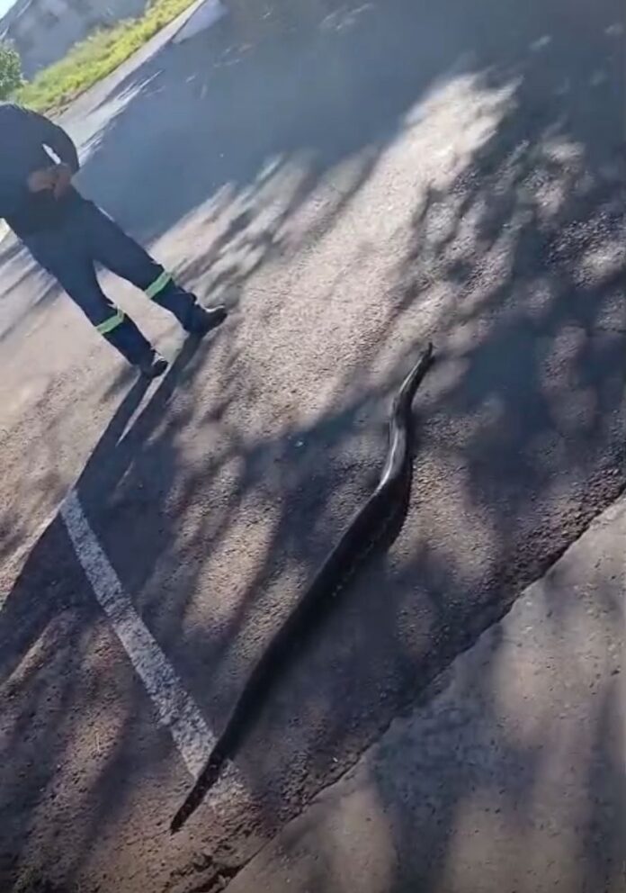 3c9b68be-fdfd-4b55-840e-124a91890d0d