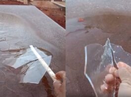 VÍDEO: frio extremo surpreende Dourados e moradores registram água congelada durante a madrugada