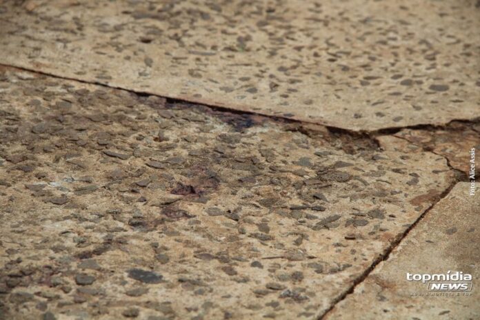 whatsapp-image-2025-01-15-at-140339