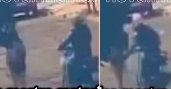 whatsapp-image-2025-06-12-at-103940