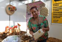 MS +Criativo leva workshops de capacitação para territórios culturais de MS