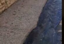 Motorista morre após carro cair em córrego em Campo Grande