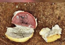 Jovem morre após comer pão envenenado entregue por ex-padrasto em Bataguassu