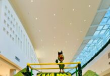 Dia das Crianças movimenta programação intensa para os pequenos neste fim de semana em shopping da Capital