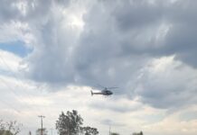 DOF encontra depósito de contrabando em Ponta Porã, apreende 17 carros e prende 14 pessoas