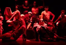 Agendão: fim de semana tem Mostra Cerrado Abierto, Festival do Japão, cinema e festa de tradições pantaneiras