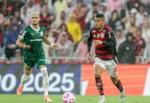 Palmeiras e Flamengo decidem 1º tetra brasileiro na Libertadores