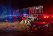 Inteligência da FICCO/MS desmascara carga de cocaína escondida em fundo falso na BR-060