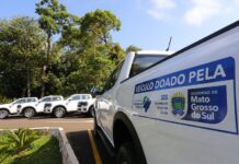 Governo de MS reforça combate às endemias e entrega novas caminhonetes para 14 municípios