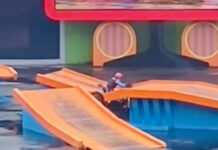 Piloto morre após acidente em apresentação no Beto Carrero World