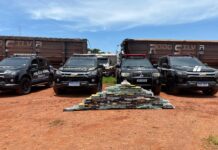 FICCO apreende 100 quilos de cocaína escondidos em carga de minério de ferro em Campo Grande