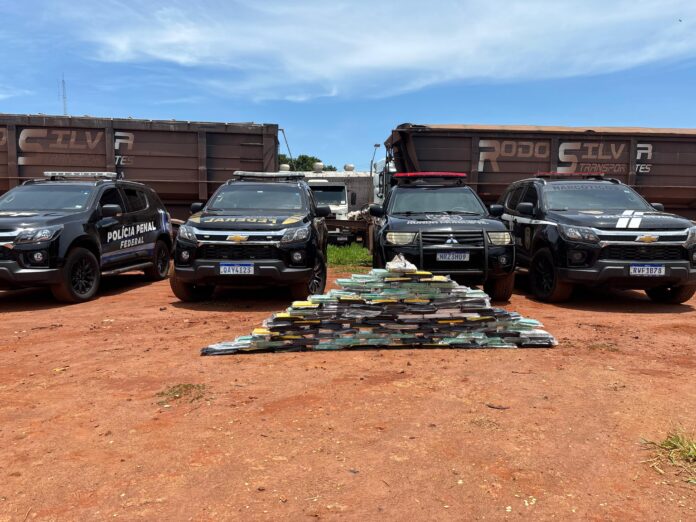 WhatsApp Image 2025-11-06 at 15.44.20