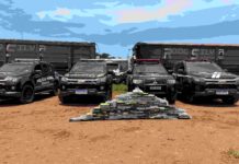 FICCO apreende 100 quilos de cocaína escondidos em carga de minério de ferro em Campo Grande