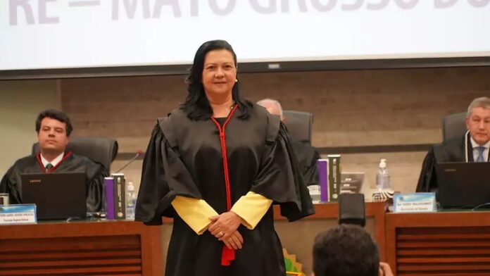 c3336510-c2d0-4e26-83e6-1b613495d4aa