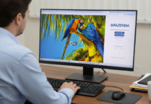 MS libera emissão do boleto do IPVA 2026 no Portal E-Fazenda