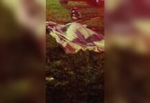 Execução brutal na BR-262: mulher é morta com tiro na cabeça