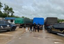 PF barra carga gigante e apreende 75 toneladas de insumo usado para fazer cocaína na fronteira