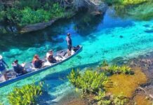 Turismo de MS bate recordes, conquista prêmios e fecha 2025 como referência nacional e internacional