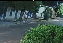 Câmeras flagram homem nu rondando casas antes de invadir residência e atacar professora de 66 anos em Campo Grande